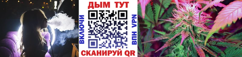 Виды наркоты Разумное Кокаин  Меф  А ПВП  Гашиш 
