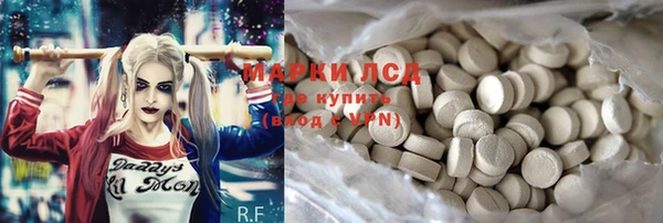 PSILOCYBIN Соль-Илецк