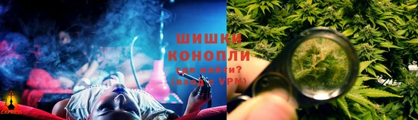 сатива Соликамск