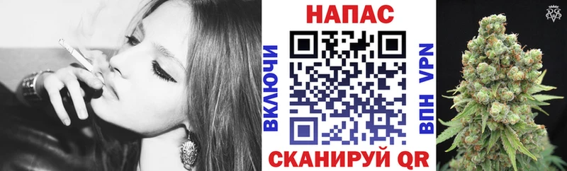 ОМГ ОМГ ТОР  Разумное  Шишки марихуана конопля 